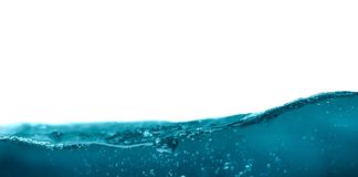Il CESE avverte che l’acqua è ormai una questione di sicurezza economica per l’Europa Foto di Daniel Sinoca su Unsplash