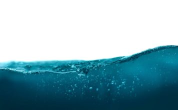 Il CESE avverte che l’acqua è ormai una questione di sicurezza economica per l’Europa Foto di Daniel Sinoca su Unsplash
