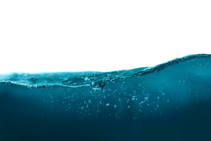 Foto di Daniel Sinoca su Unsplash