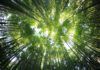 Foto di kazuend su Unsplash