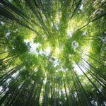Foto di kazuend su Unsplash