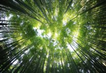 Foto di kazuend su Unsplash