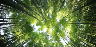 Foto di kazuend su Unsplash