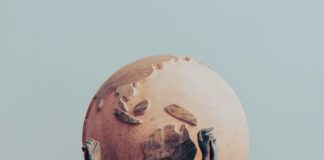 24 giugno, giornata internazionale delle donne in diplomazia Foto di Roman Petrov su Unsplash