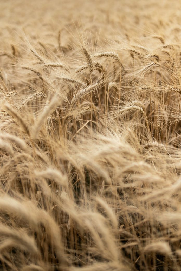Foto di damien dufour su Unsplash Foto di damien dufour su Unsplash