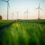 I progressi dell’UE nella transizione verde equa Foto di Moritz Lange su Unsplash