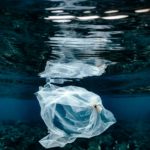 Foto di Naja Bertolt Jensen su Unsplash