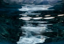 La Giornata internazionale senza sacchetti di plastica Foto di Naja Bertolt Jensen su Unsplash