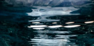 La Giornata internazionale senza sacchetti di plastica Foto di Naja Bertolt Jensen su Unsplash