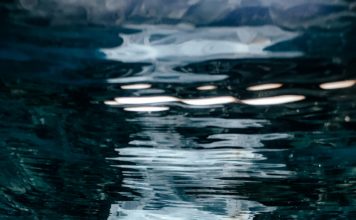 La Giornata internazionale senza sacchetti di plastica Foto di Naja Bertolt Jensen su Unsplash