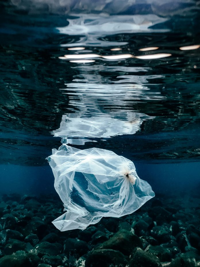 Foto di Naja Bertolt Jensen su Unsplash Foto di Naja Bertolt Jensen su Unsplash
