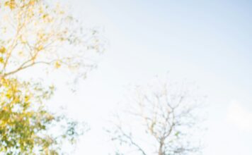 Foto di Naassom Azevedo su Unsplash