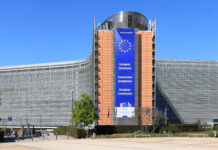 Governi nazionali e Istituzioni europee EmDee, CC BY-SA 4.0, via Wikimedia Commons