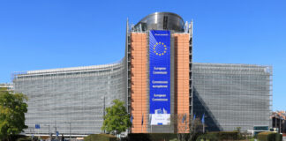 Governi nazionali e Istituzioni europee EmDee, CC BY-SA 4.0, via Wikimedia Commons