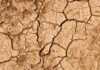 17^ sessione della Conferenza delle Parti della UNCCD: tra passi avanti ed insuccessi Foto di giovanni cordioli su Unsplash
