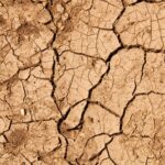 17^ sessione della Conferenza delle Parti della UNCCD: tra passi avanti ed insuccessi Foto di giovanni cordioli su Unsplash
