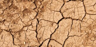 17^ sessione della Conferenza delle Parti della UNCCD: tra passi avanti ed insuccessi Foto di giovanni cordioli su Unsplash