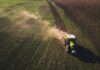 Omnibus X: cosa cambia per alimenti, mangimi e pesticidi Foto di Chris Ensminger su Unsplash