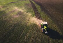 Omnibus X: cosa cambia per alimenti, mangimi e pesticidi Foto di Chris Ensminger su Unsplash
