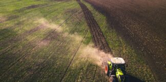 Omnibus X: cosa cambia per alimenti, mangimi e pesticidi Foto di Chris Ensminger su Unsplash