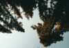 Foto di Kyle Loftus su Unsplash