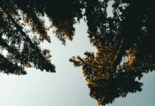 Foto di Kyle Loftus su Unsplash