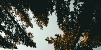 Foto di Kyle Loftus su Unsplash