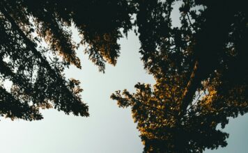 Lo scudo invisibile dell’Europa Foto di Kyle Loftus su Unsplash
