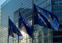 QFP 2028-2034, la rubrica 1: il Fondo Foto di Marco da Pexels: https://www.pexels.com/it-it/foto/bandiere-amministrazione-pali-della-bandiera-commissione-europea-13153479/