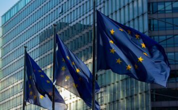 Foto di Marco da Pexels: https://www.pexels.com/it-it/foto/bandiere-amministrazione-pali-della-bandiera-commissione-europea-13153479/