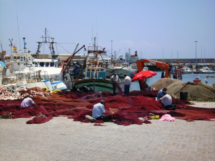 Foto di the_weatherman da Pixabay Foto di the_weatherman da Pixabay